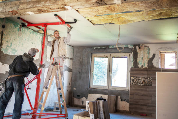 Best Insulation Repair Services  in Cold Spring, NY